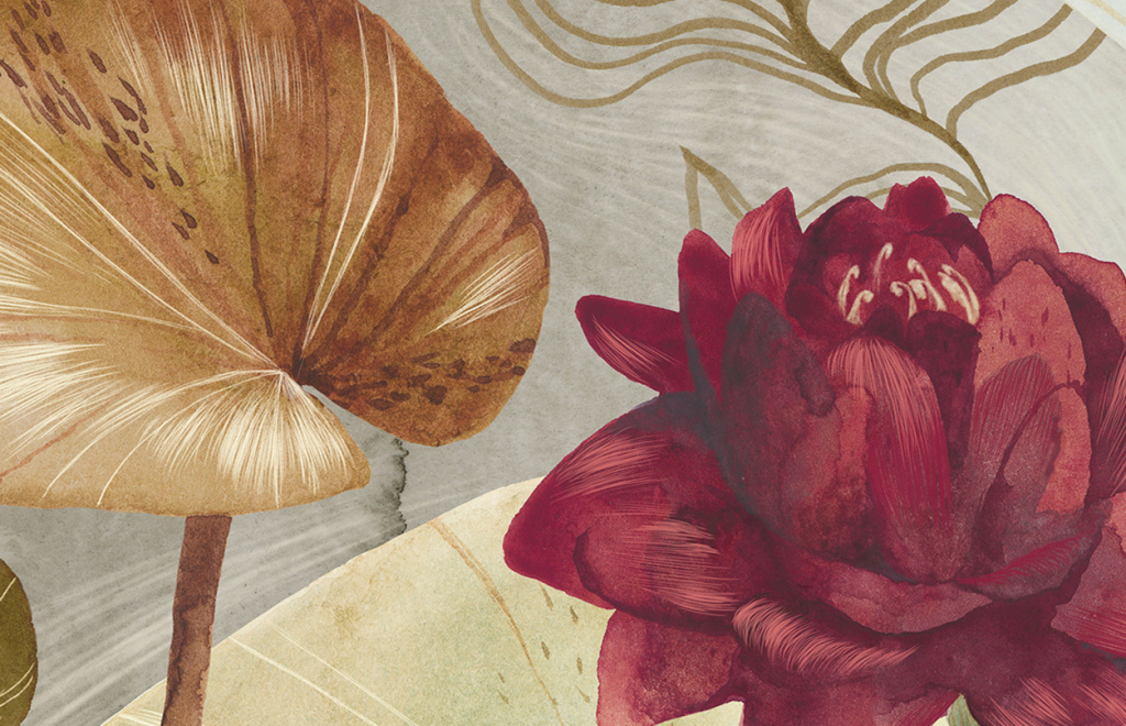 Nymphea_обложка_новости1.jpg Nymphea_обложка_новости1.jpg