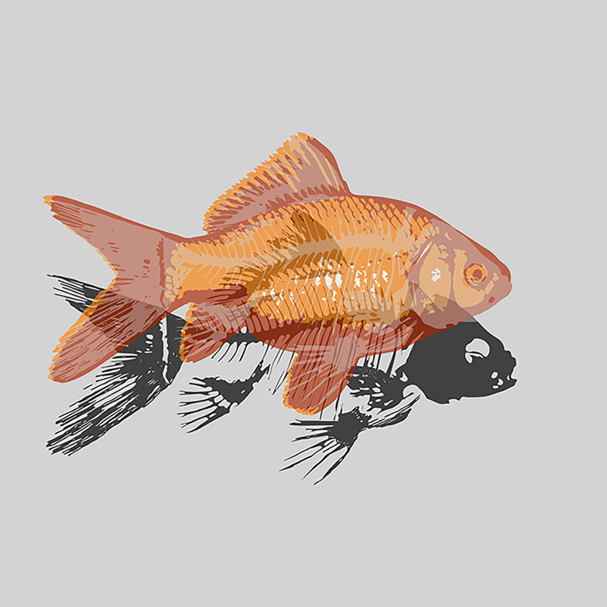 Gold fish фото 2