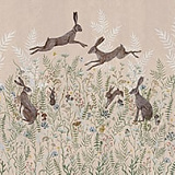Woodland Hares