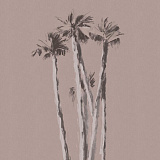 Palms vol.2